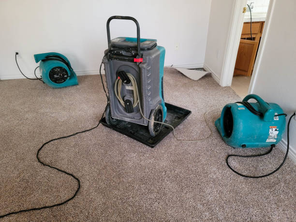 Fire Damage Restoration in IL