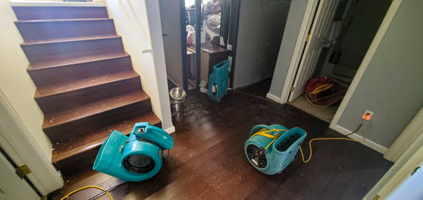 Best Flooded house restoration  in Rushvle, IL