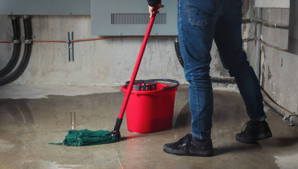 Best Water damage contractors near me  in Rushvle, IL