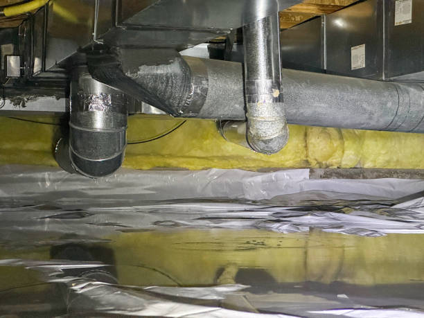 Best Basement water damage restoration  in Rushvle, IL
