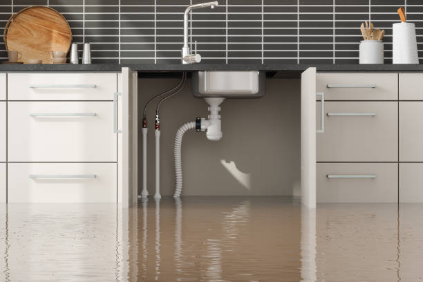Best Basement water damage restoration  in Rushvle, IL