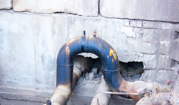 Best Professional water damage repair  in Rushvle, IL