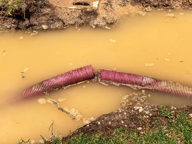 Best Sewage cleanup and water damage restoration  in Rushvle, IL