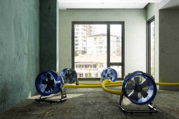 Best Local water damage restoration  in Rushvle, IL